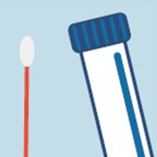 An illustration of a swab and a vile used for covid-19 testing.