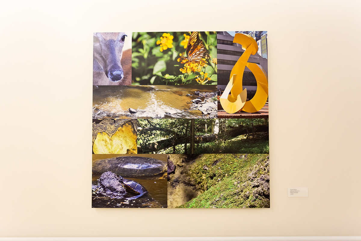 Photograph of Austin Bristor's photography collage titled Bethesda Nature. This art shows photographs of many local animals and plants.