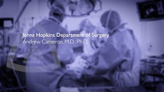 Welcome to the Department of Surgery at Johns Hopkins