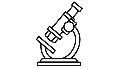 Illustrated microscope