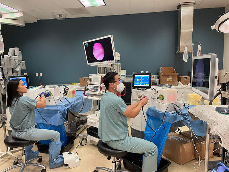 Students participating in Laser Enucleation of the Prostate Masterclass course