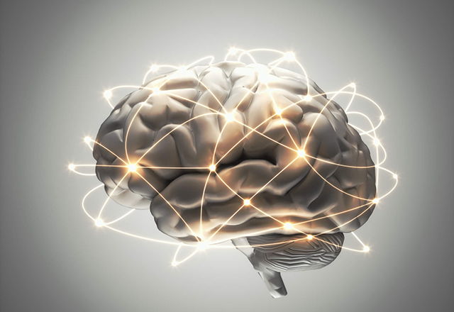 Illustration of an active human brain.