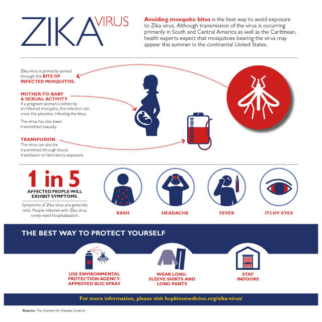 Zika Virus Johns Hopkins Medicine 2114