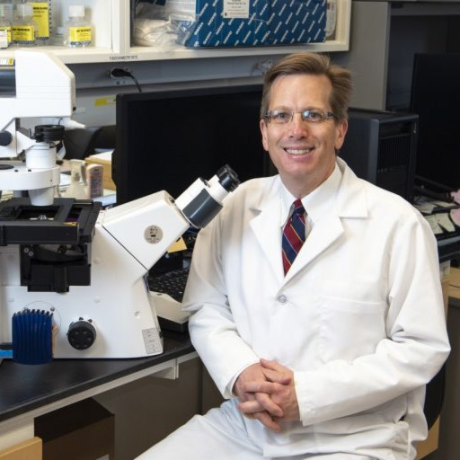 Q&A — Taking Aim at Metastasis | Johns Hopkins Medicine