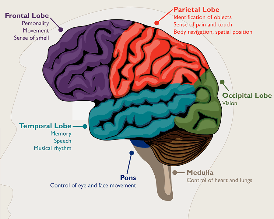 Brain Tumor – Causes And The Best Treatment | Dr Raos Hospital - Dr Rao ...