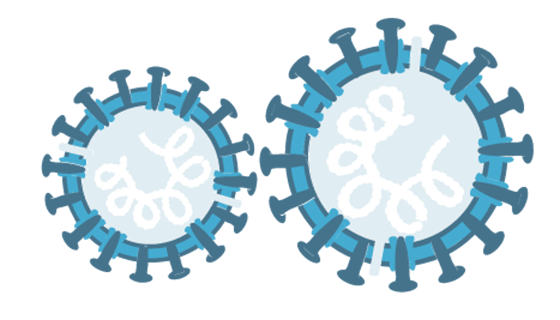 Coronavirus At A Glance: Infographic | Johns Hopkins Medicine