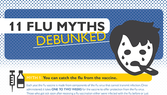 11 Flu Myths Debunked: Infographic | Johns Hopkins Medicine