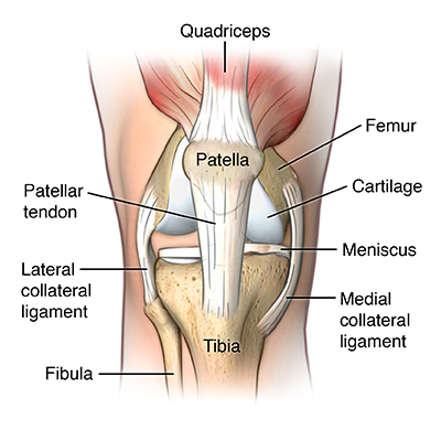 inflammation below knee cap
