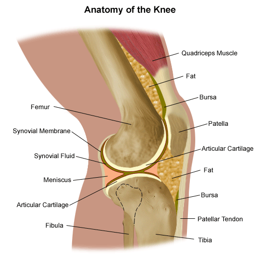 lower knee cap pain