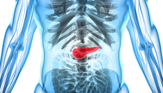 Acute Pancreatitis | Johns Hopkins Medicine