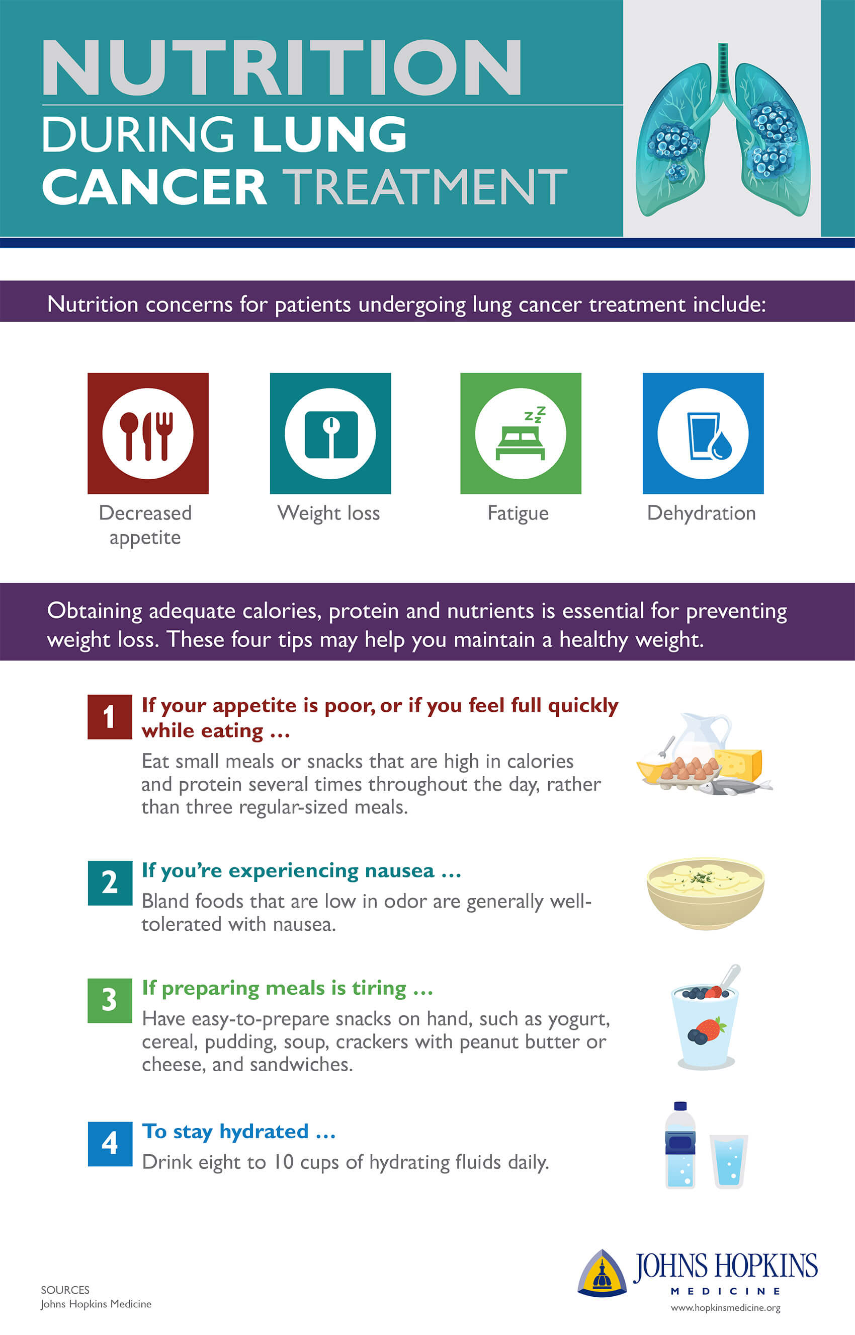 Nutrition During Lung Cancer Treatment Infographic Johns Hopkins