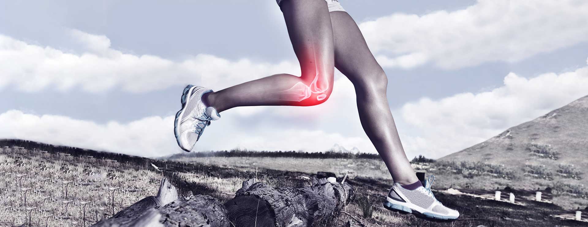 Knee health store