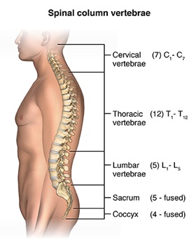 lumbar spine pain