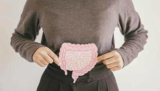 person holds drawing of colon and intestinal tract over abdomen