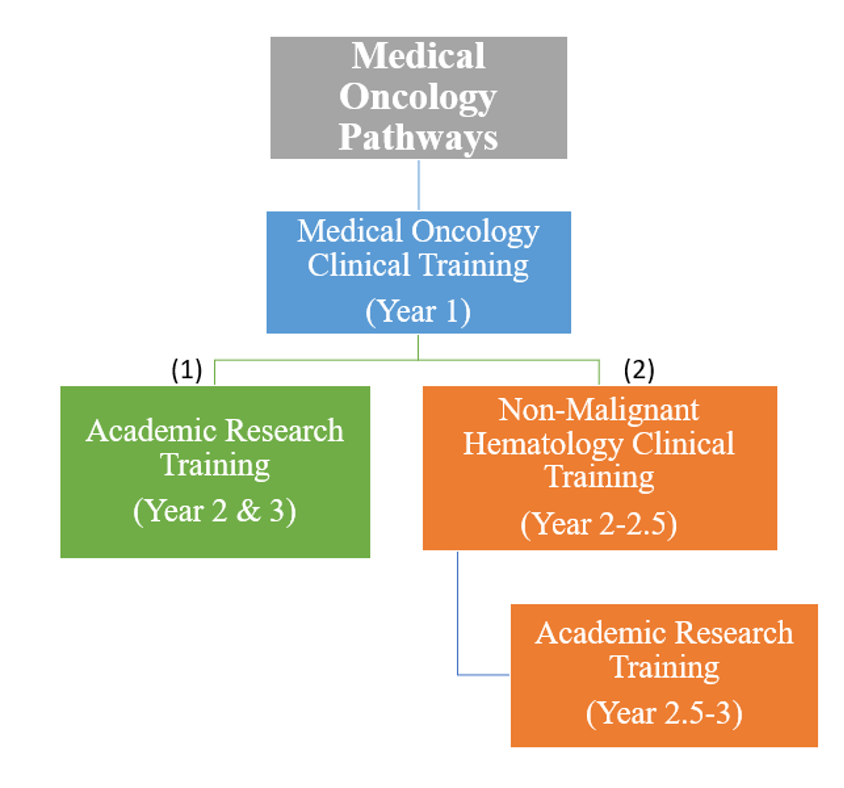 medical onc pathways