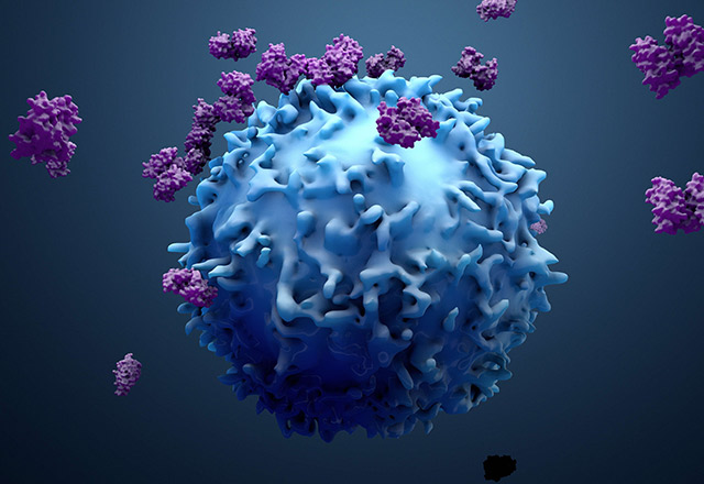 Illustration of Immune cells attacking cancer