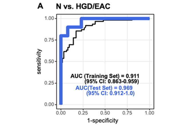 Receiver-operating characteristic (ROC) curve in the training and test sets. The area under this curve (AUC: 0.969) shows excellent biomarker performance in Barrett’s esophagus patients with high-grade dysplasia or esophageal cancer. Credit: Stephen Meltzer, M.D.