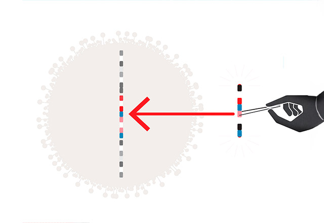 Immunitherapy Graphic