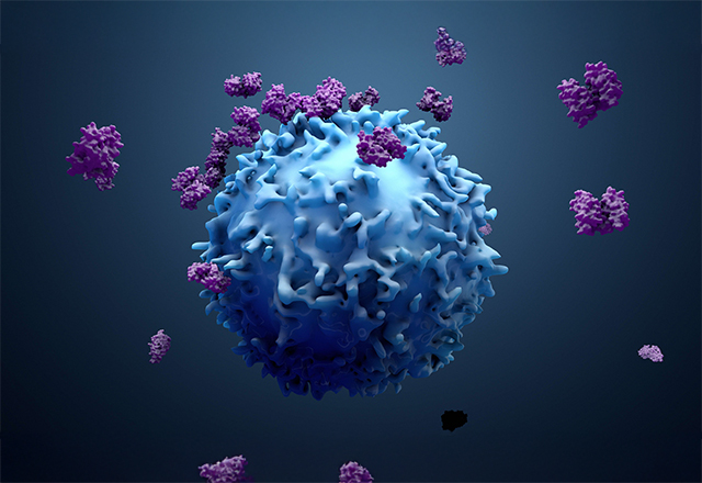 Immune cells attacking cancer