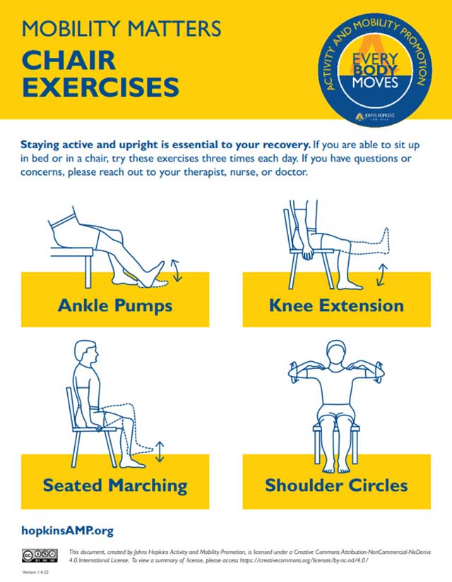 https://www.hopkinsmedicine.org/-/media/physical-medicine-rehabilitation/images/amp/chair-exercises-for-jhhlm-4-or-greater-patients.jpg