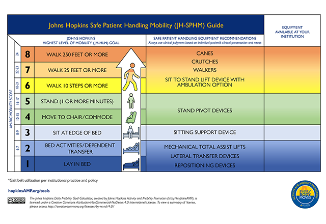 Home Healthcare High-Capacity Scale