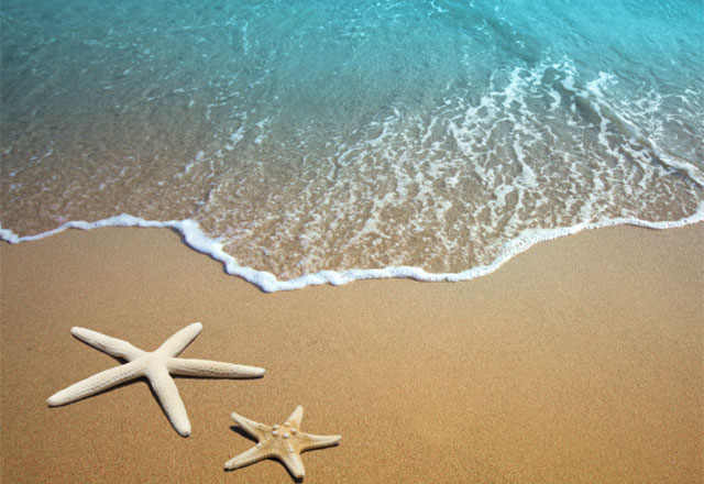 A sandy beach with waves and two starfish in the sand.