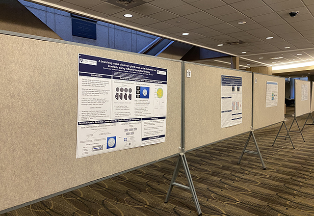 poster presentation