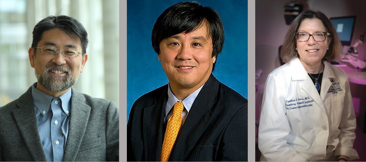 Three Johns Hopkins Medicine Researchers Named Fellows Of The American ...