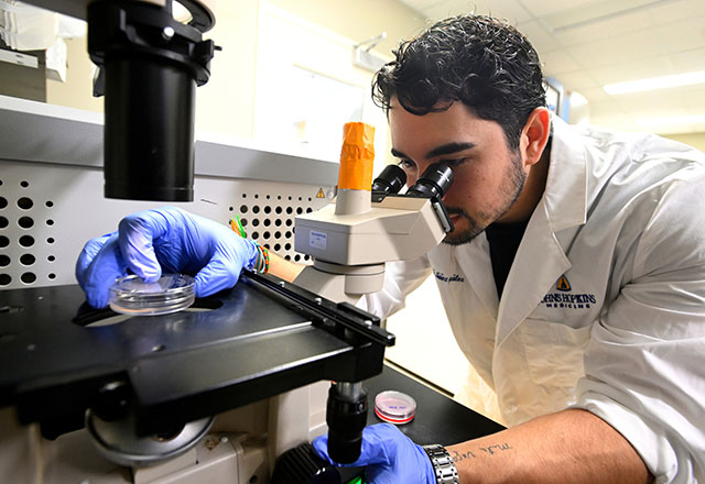 Student working on a microscope