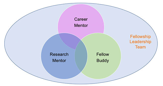 A graphic showing the Cardiovascular Disease Fellowship Program's mentorship efforts.