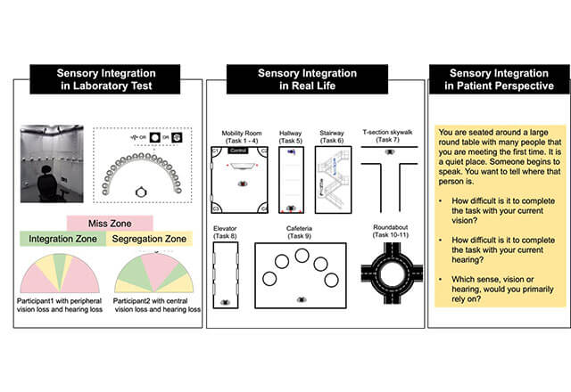 Sensory integration: from laboratory to real-life, and from theory to clinical applications