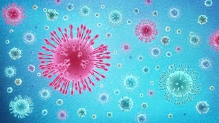 what is coronavirus essay