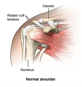 How to Help Your Rotator Cuff After an Injury or Degeneration - In