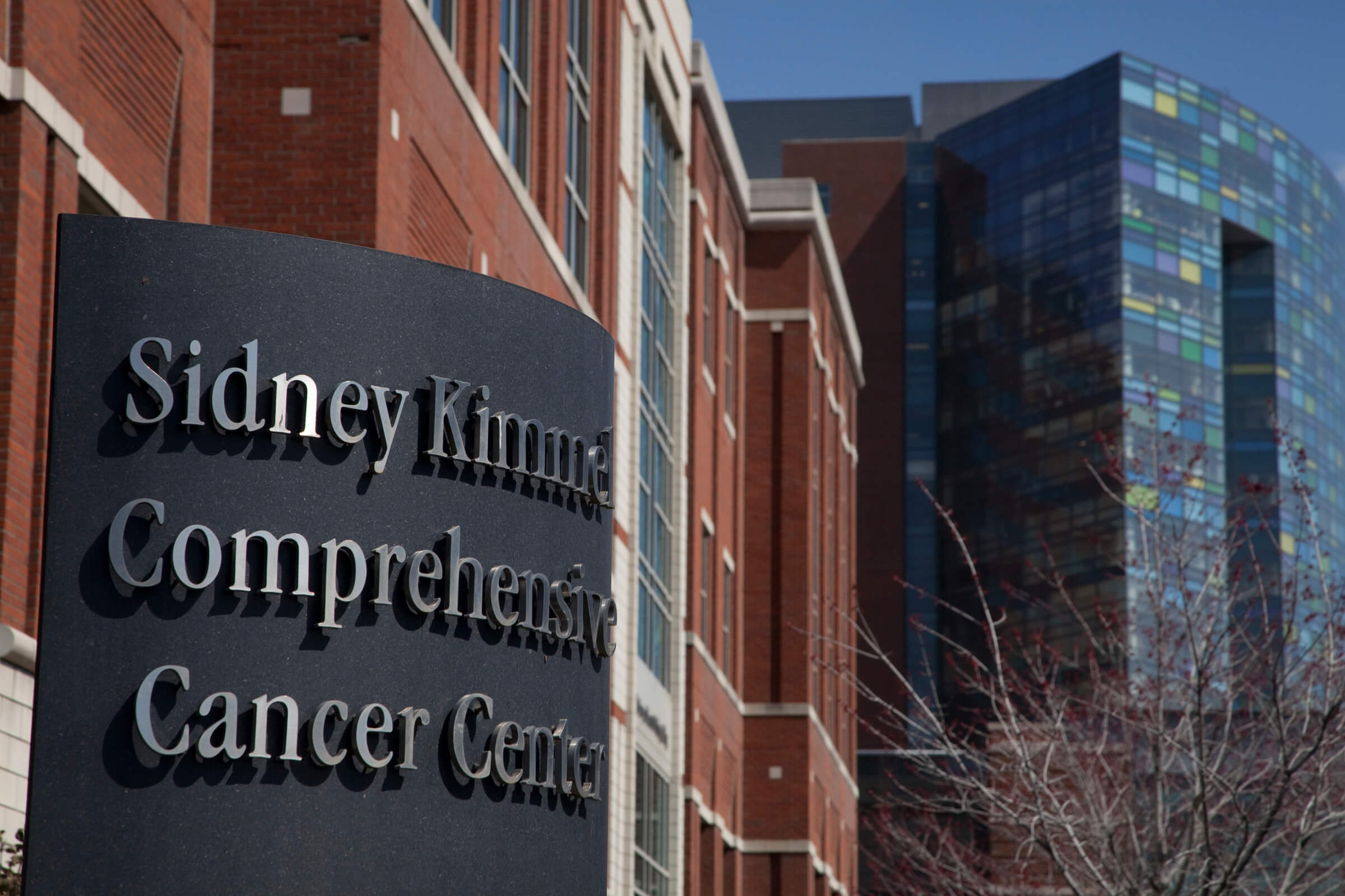 Esophageal Cancer Program Johns Hopkins Kimmel Cancer Center