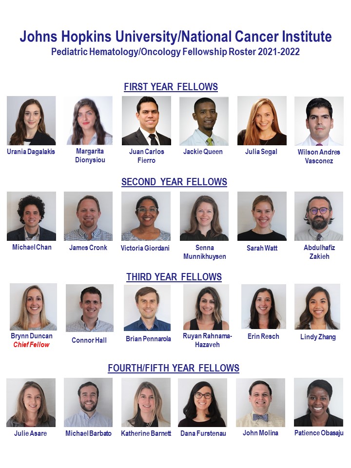 Meet Our Fellows: Johns Hopkins Sidney Kimmel Comprehensive Cancer Center